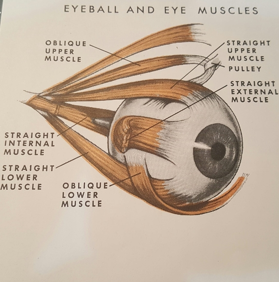 Profile Picture of Dennis Yudt (@dyudt) on Poshmark