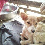 Profile Picture of richard alan latcham (@latcham0) on Instagram