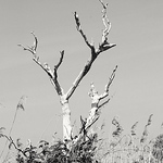 Profile Picture of Alex Sissons (@alexsissons) on Flickr