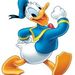 Profile Picture of Mohamed Abdelalim (@mam700700) on Pinterest