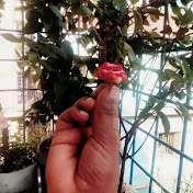 Profile Picture of Amir Hamza King Is Come (@fatamaakther666) on Youtube