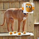 Profile Picture of Dillon Barker (@dillon_barker08) on Instagram