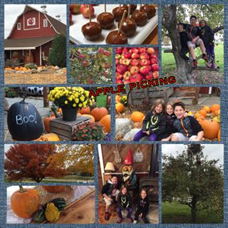 Profile Picture of Joel DeCesare (@joel.decesare) on Facebook