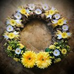 Profile Picture of Amanda Ketcham (@amandasartfuldesigns) on Instagram