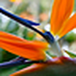 Profile Picture of Danielle Foster (@danny09girl) on Flickr