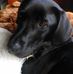Profile Picture of Ruby Benson (@ruby.benson.902) on Facebook
