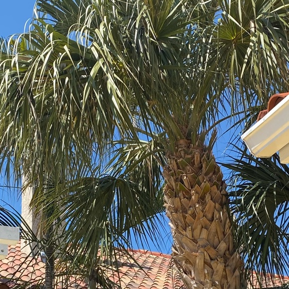 Kim Savage - Poshmark Profile Picture of Kim Savage (@savagekim62) on Poshmark