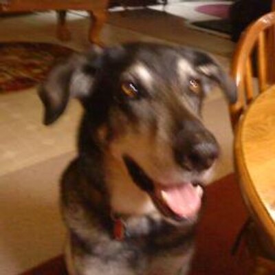 Profile Picture of Jeff Vaughan (@Jlvon69Jeff) on Twitter