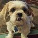 Profile Picture of Dawn Sjoberg (@dawn.sjoberg.50) on Facebook