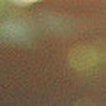 Alice Rolls - Flickr Profile Picture of Alice Rolls (@arolls) on Flickr