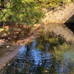 펭더기 - Instagram Profile Picture of 펭더기 (@misomisogg) on Instagram