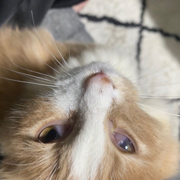 Profile Picture of Kimberly.Crosby (@kimberlycrosbyyrptpvu) on Tiktok