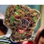 Profile Picture of Glenn Frost (@glennfrost17) on Instagram