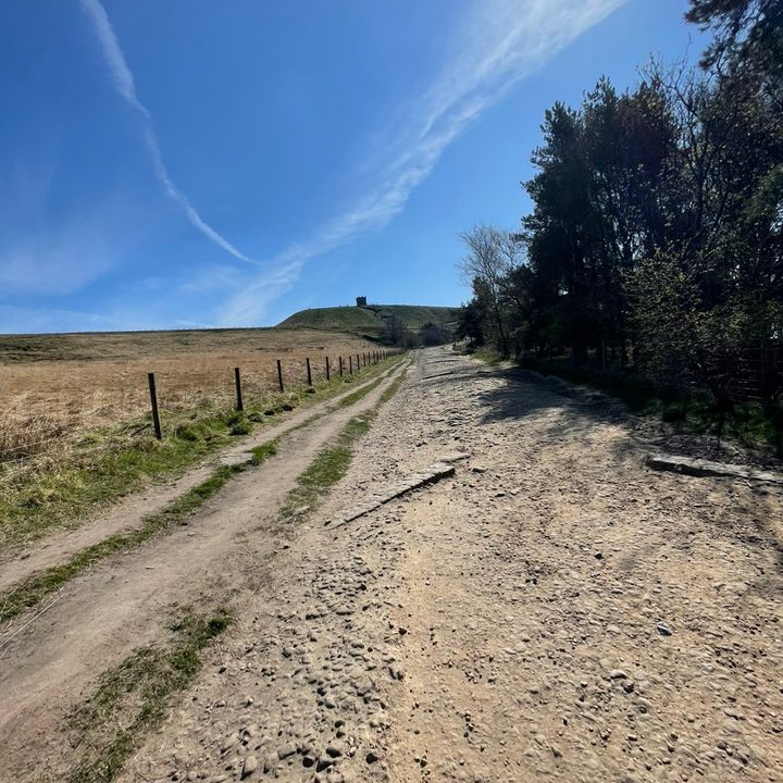 Profile Picture of ❀𝐚𝐦𝐛𝐞𝐫❀ (@amber_lad) on Tiktok