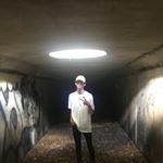 Profile Picture of Matthew Wamsley (@matt9_10_21) on Instagram