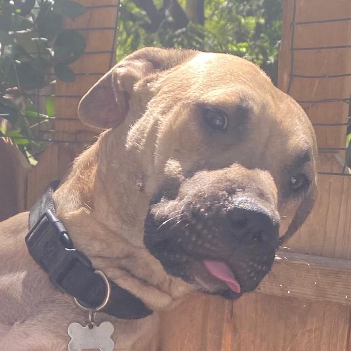 Profile Picture of jacob hogin (@jacobhogin) on Tiktok