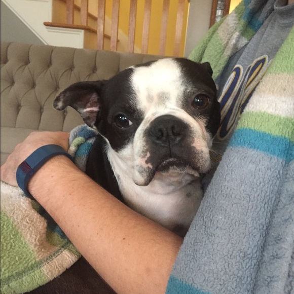 Profile Picture of Cindy Knezek (@cknez2109) on Poshmark