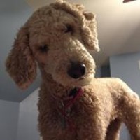 Profile Picture of Tom Conjar (@tom-conjar) on Quora