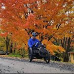 Profile Picture of Mike Harrison (@this.wheelful.heart) on Instagram