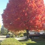 Profile Picture of Valerie Trader (@valerietrader) on Instagram