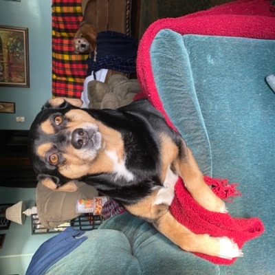 Profile Picture of Michael Lesmeister (@MichaelLesmeis1) on Twitter