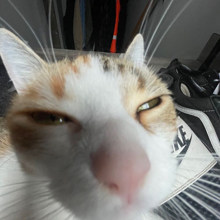 Profile Picture of Adam Kirk (@adamkirk23) on Tiktok