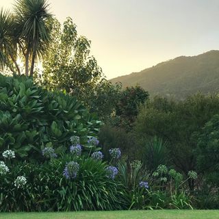 Profile Picture of Jo Gough (@jo.gough.5055) on Facebook