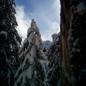 Profile Picture of David Beer (@davidbeer1649) on Youtube