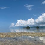 Profile Picture of ペンギン航空隊 (@marveric18e) on Instagram