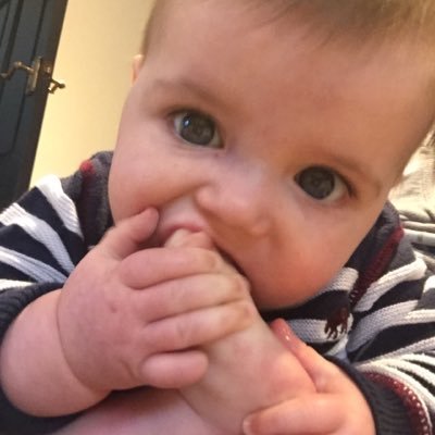 Profile Picture of Josiah Frank (@josiahwoodger) on Twitter