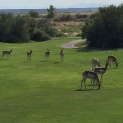 Profile Picture of steveschoch0 (@steveschoch0) on Tiktok