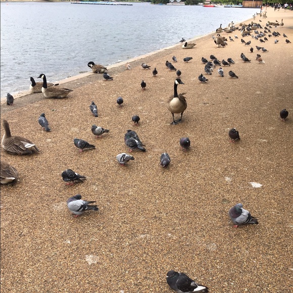 Profile Picture of Jessica Edmonds (@jessedmo) on Poshmark