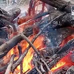 Profile Picture of Steven Beal (@Steven-Beal) on Facebook