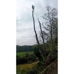 Thomas Portman - Instagram Profile Picture of Thomas Portman (@portman.thomas) on Instagram