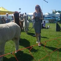 Profile Picture of Deborah Reilly (@deborah-reilly-5) on Quora