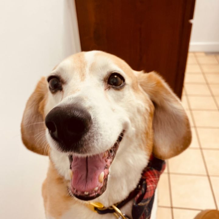 Profile Picture of crissymurphy4 (@crissymurphy4) on Tiktok