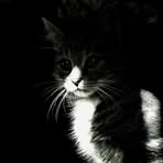 Profile Picture of Maciej Qrek (@Maciej-Qrek) on Facebook