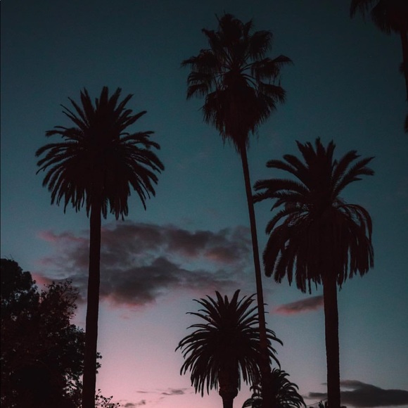 Profile Picture of Mauricio Murillo (@mauriciomurillo) on Poshmark