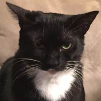 Profile Picture of Sandra Hick (@sandra-hick) on Quora