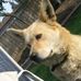 Profile Picture of Joseph Krigbaum (@joseph.krigbaum.94) on Facebook