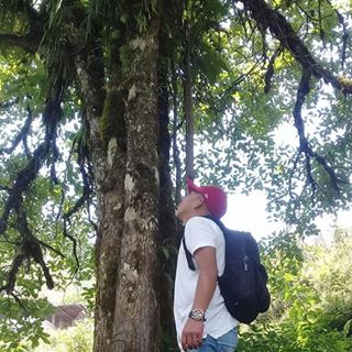 Profile Picture of Armando Barillas (@piter.estrada.58) on Facebook