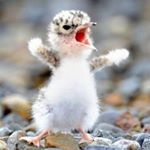 Profile Picture of Devon hope (@dehopechanges) on Instagram