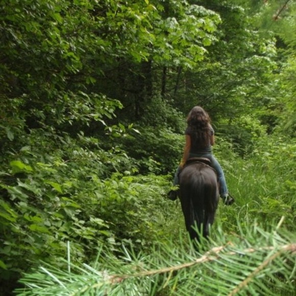 Profile Picture of Lisa Hranek (@equesterienne) on Poshmark