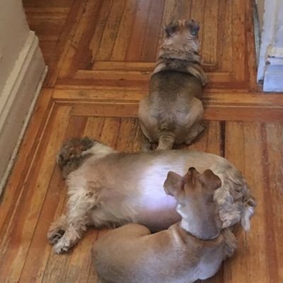 Profile Picture of Mirtha Paez (@MirthaPaez4) on Twitter