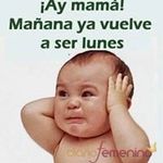 Profile Picture of Miguel Angel Chacon Caparros (@chaconcaparros) on Instagram