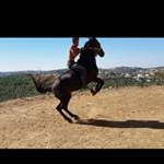 ferasawad - Instagram Profile Picture of ferasawad (@ferasawad33) on Instagram