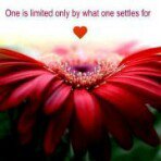 Profile Picture of Shelly Gindorf Downey (@shellydowney) on Instagram