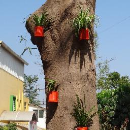 Profile Picture of Tat360 (@Bob_Tat360) on Twitter