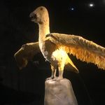 Profile Picture of Alvin Lindström (@alvinlindstrom) on Instagram