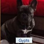 Profile Picture of Jimmy Junior Britton (@jimmyjuniorbritton) on Instagram